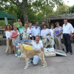 mostra canina