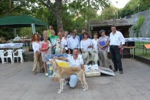 mostra canina