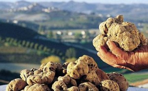 67tartufo-bianco-crete-senesi