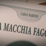 macchia_faggeta