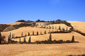 toscana1