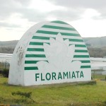 floramiata