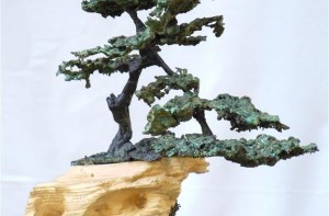 bonsai_Marcello-oliveri-Medium-576x380